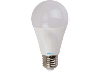 LED Bulb